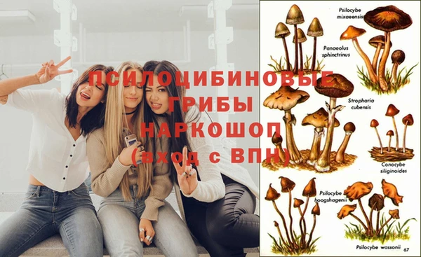мефедрон мука Аркадак