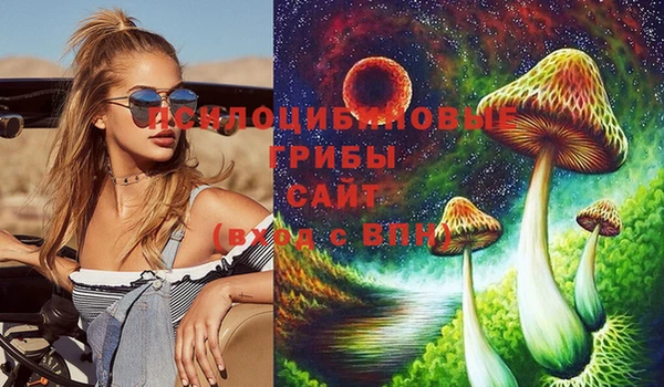 бошки Арсеньев